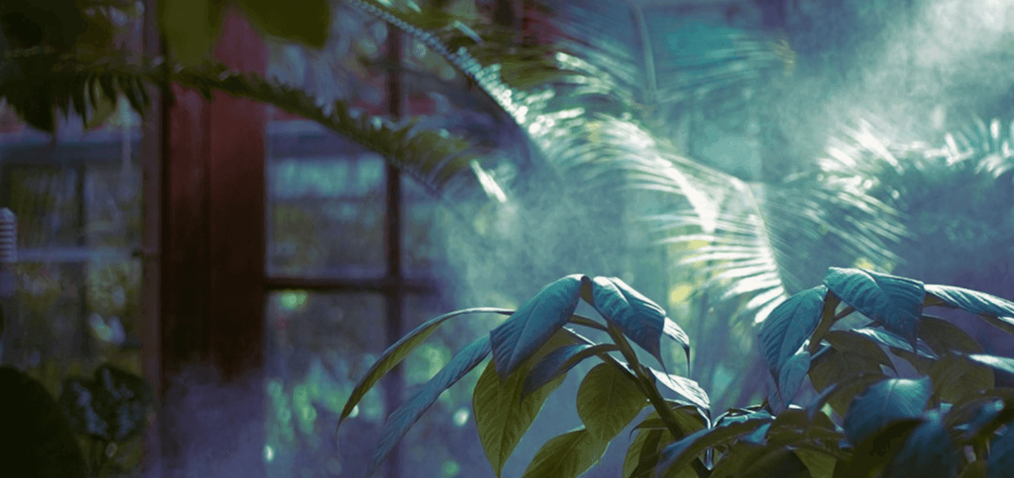 Tu jardín perfecto con